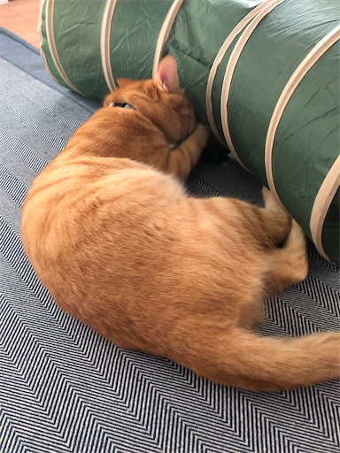 f:id:s_1000spring:20210821073644j:image