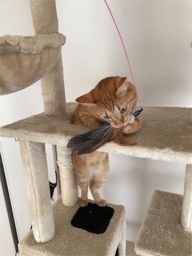 f:id:s_1000spring:20221206212343j:image f:id:s_1000spring:20221206212343j:image