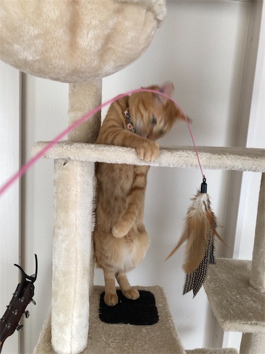 f:id:s_1000spring:20221206212346j:image f:id:s_1000spring:20221206212346j:image