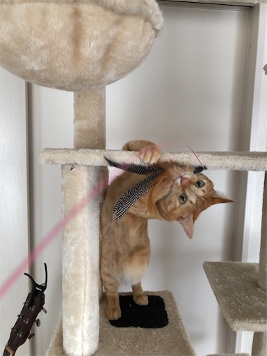 f:id:s_1000spring:20221206212355j:image f:id:s_1000spring:20221206212355j:image