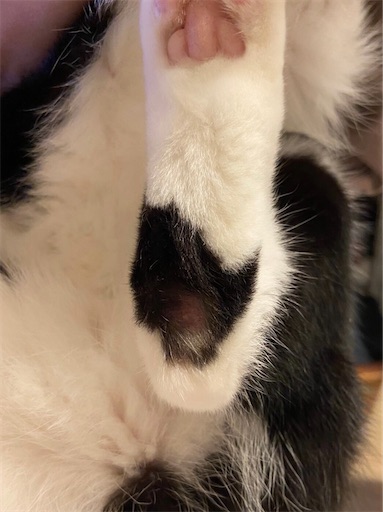 f:id:s_1000spring:20221206222056j:image f:id:s_1000spring:20221206222056j:image