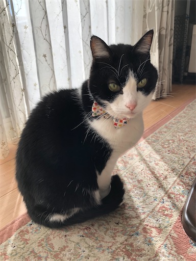 f:id:s_1000spring:20230111160628j:image f:id:s_1000spring:20230111160628j:image