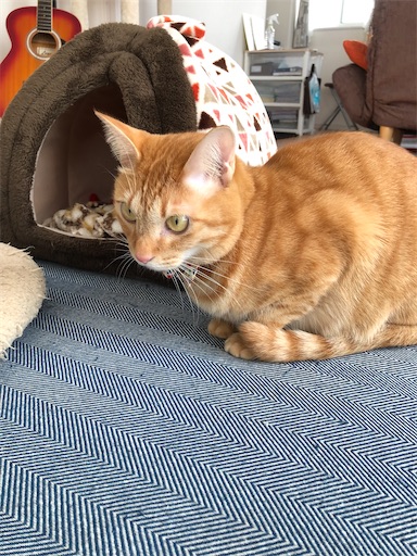 f:id:s_1000spring:20230111160634j:image f:id:s_1000spring:20230111160634j:image