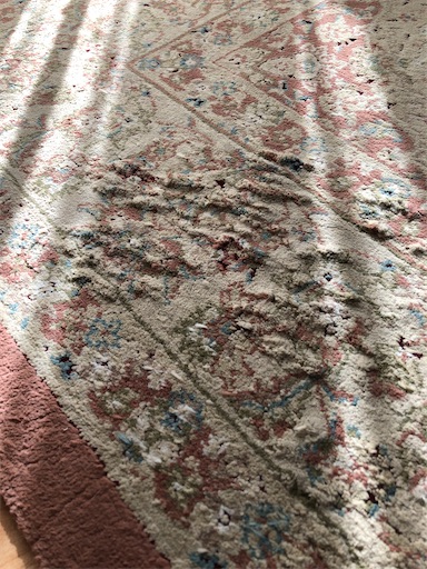 f:id:s_1000spring:20230111160636j:image f:id:s_1000spring:20230111160636j:image