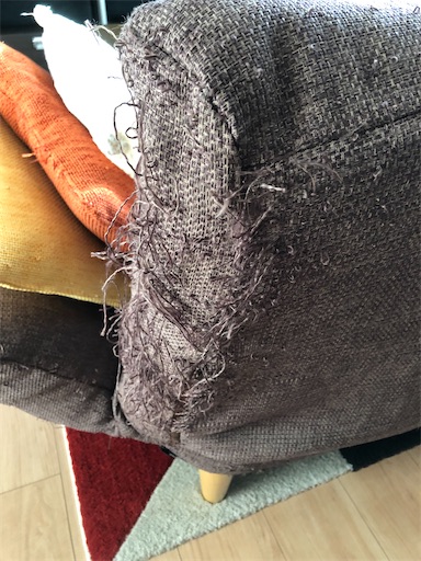 f:id:s_1000spring:20230112075854j:image f:id:s_1000spring:20230112075854j:image