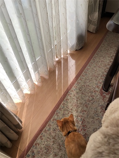 f:id:s_1000spring:20230306213809j:image
