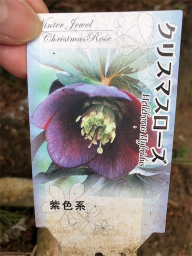 f:id:s_1000spring:20230313185848j:image
