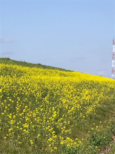 f:id:s_1000spring:20230315082637j:image f:id:s_1000spring:20230315082637j:image