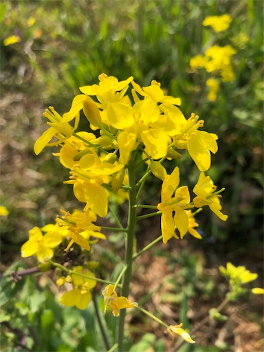 f:id:s_1000spring:20230326093927j:image f:id:s_1000spring:20230326093927j:image