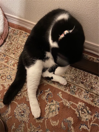 f:id:s_1000spring:20230424132945j:image f:id:s_1000spring:20230424132945j:image