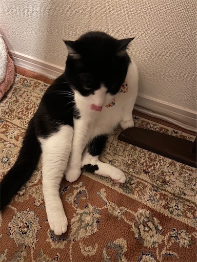 f:id:s_1000spring:20230424132948j:image f:id:s_1000spring:20230424132948j:image