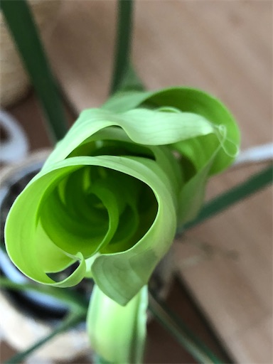 f:id:s_1000spring:20230624175307j:image f:id:s_1000spring:20230624175307j:image