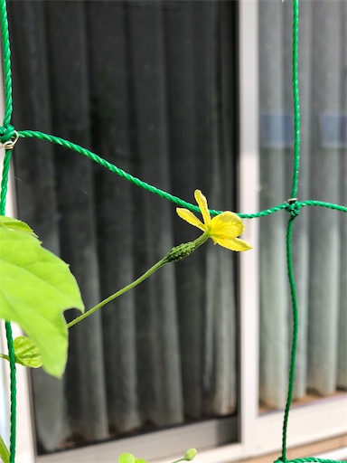 f:id:s_1000spring:20230710071735j:image