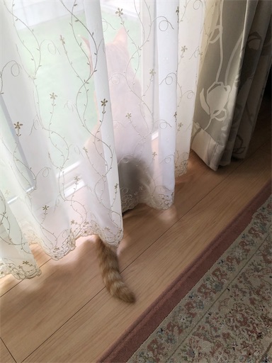 f:id:s_1000spring:20230812102357j:image