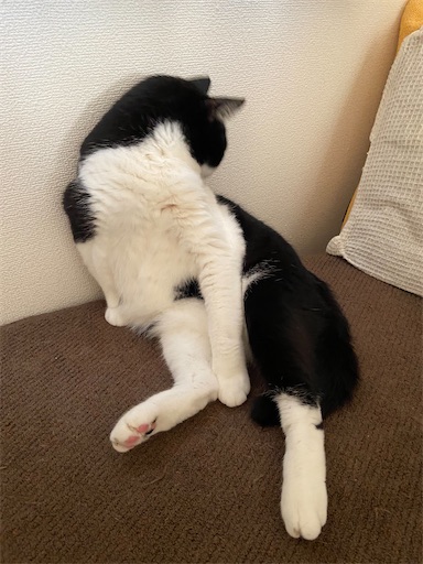 f:id:s_1000spring:20230825201525j:image