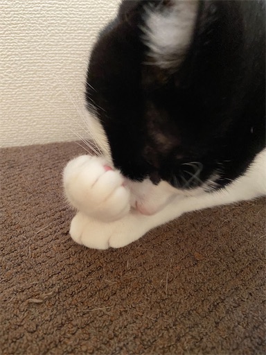 f:id:s_1000spring:20230825201527j:image