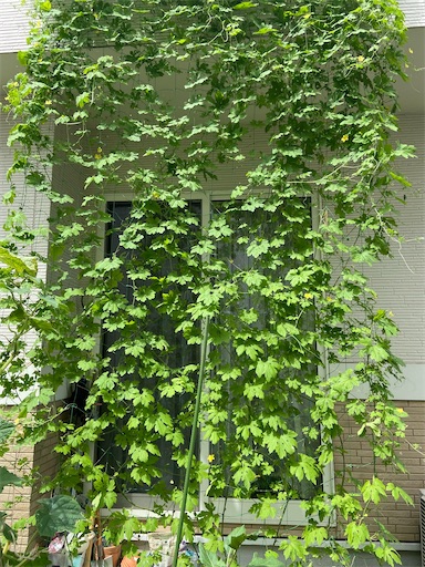 f:id:s_1000spring:20230828125447j:image