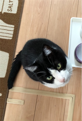 f:id:s_1000spring:20230828165132j:image