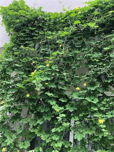 f:id:s_1000spring:20230917095503j:image