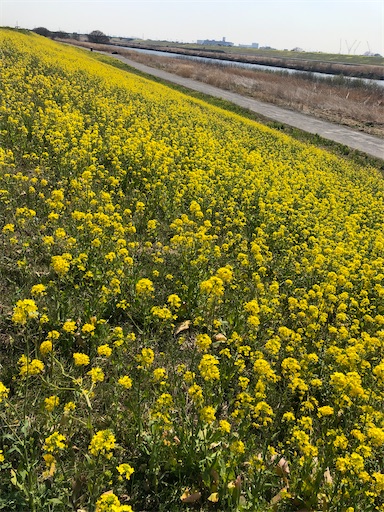 f:id:s_1000spring:20240319105557j:image