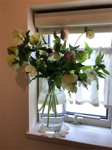 f:id:s_1000spring:20240413131351j:image f:id:s_1000spring:20240413131351j:image