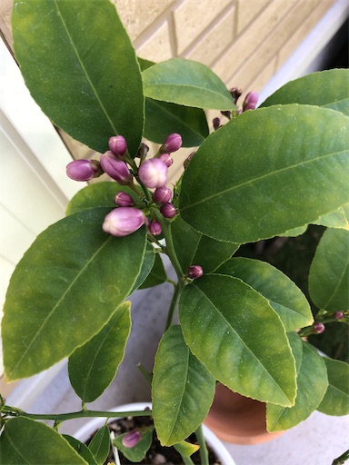 f:id:s_1000spring:20240419132924j:image f:id:s_1000spring:20240419132924j:image