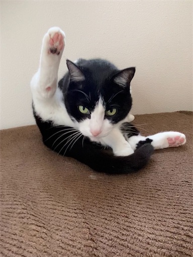 f:id:s_1000spring:20240613090643j:image f:id:s_1000spring:20240613090643j:image