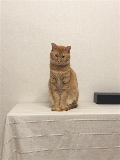 f:id:s_1000spring:20240618183028j:image f:id:s_1000spring:20240618183028j:image