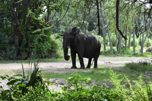 f:id:s_ahhyo:20180816110730j:plain