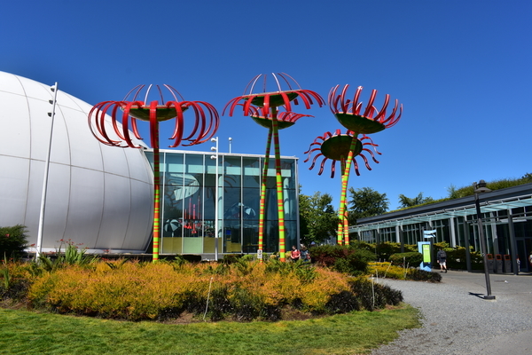 f:id:s_ahhyo:20191029213414j:plain