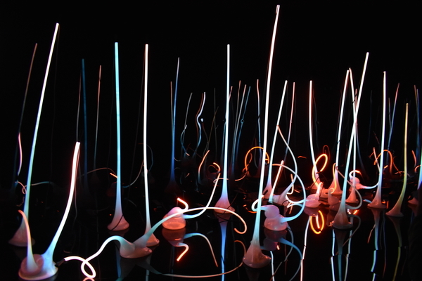 f:id:s_ahhyo:20191029213435j:plain