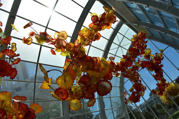 f:id:s_ahhyo:20191029213830j:plain