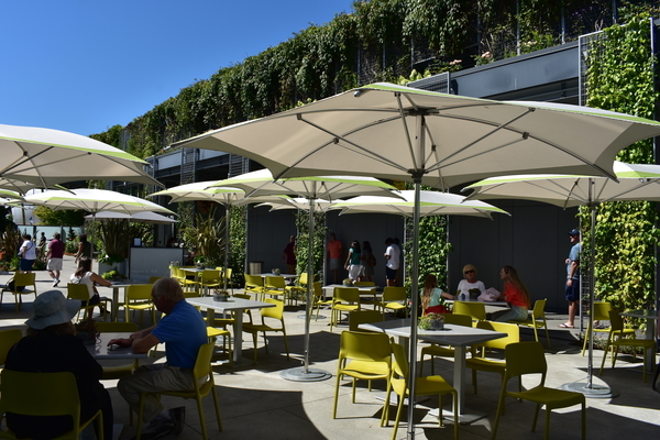 f:id:s_ahhyo:20191029213849j:plain