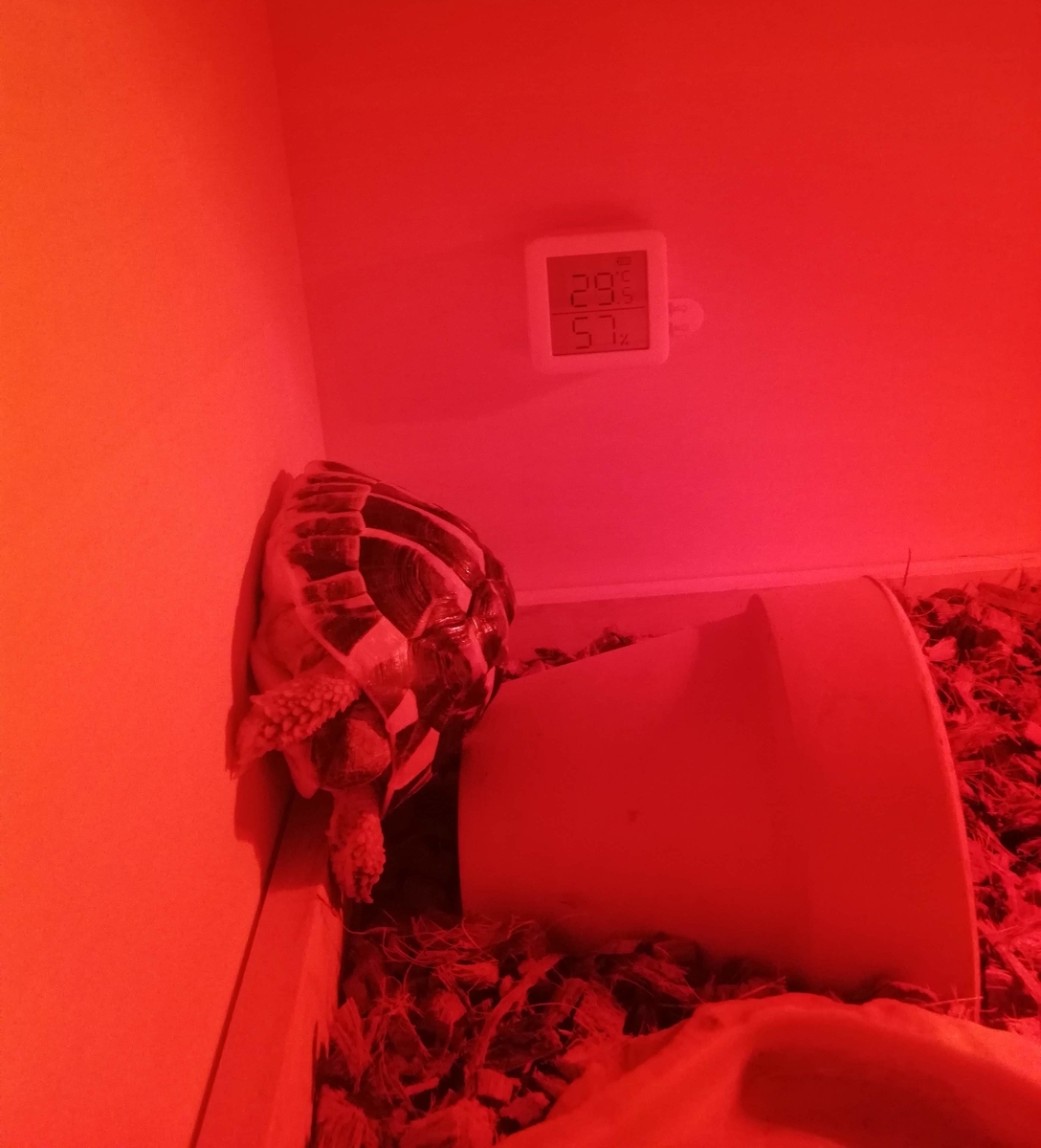 f:id:s_atom:20210330061936j:plain