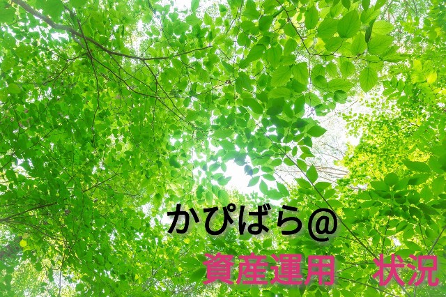 f:id:s_haten:20190324102832j:image f:id:s_haten:20190324102832j:image