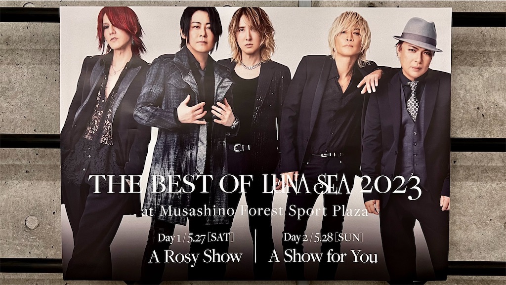 f:id:s_hrhm:20250221160150j:image