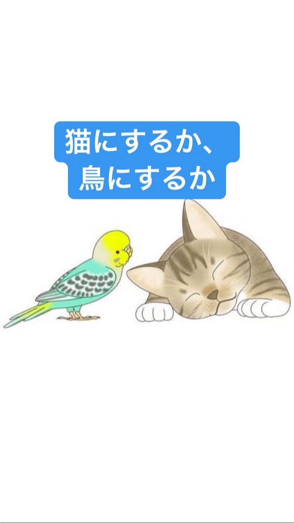 f:id:s_krkn:20180505184030j:image