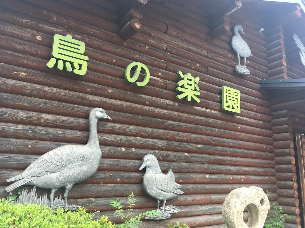 f:id:s_krkn:20180506181407j:image