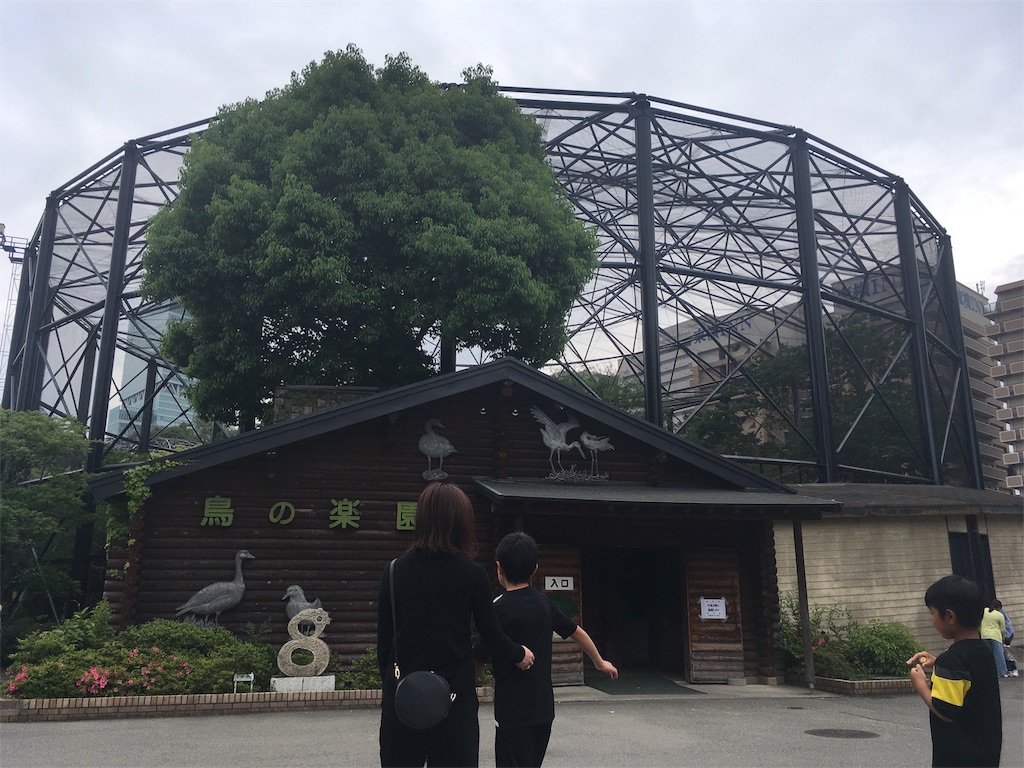 f:id:s_krkn:20180506181436j:image
