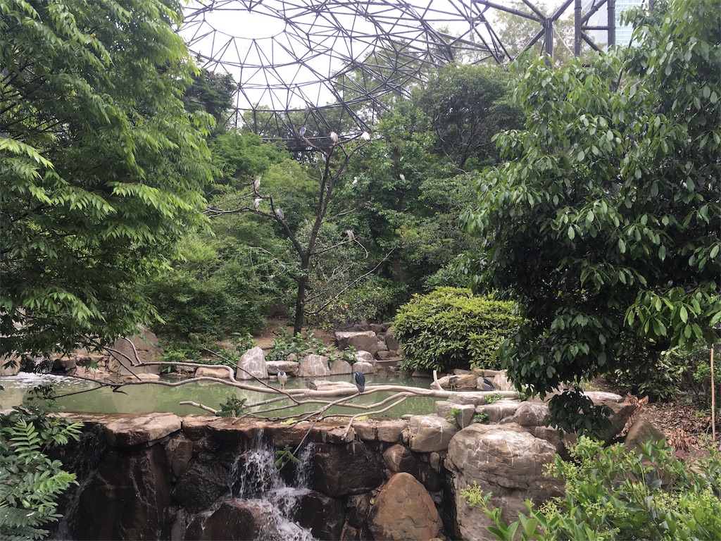 f:id:s_krkn:20180506181515j:image