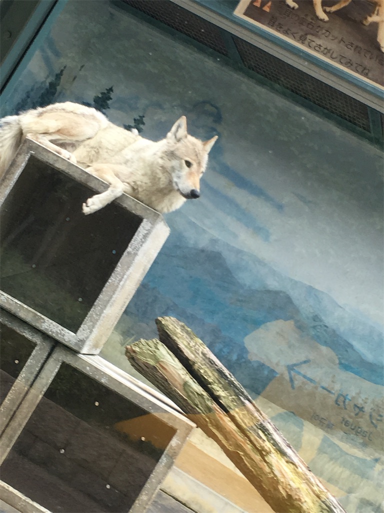 f:id:s_krkn:20180506182520j:image