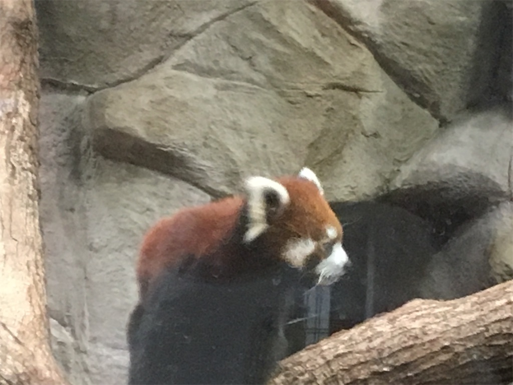f:id:s_krkn:20180506182601j:image