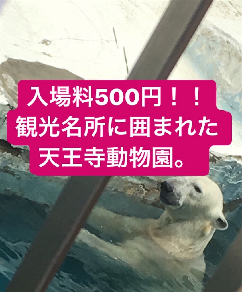 f:id:s_krkn:20180509204340j:image