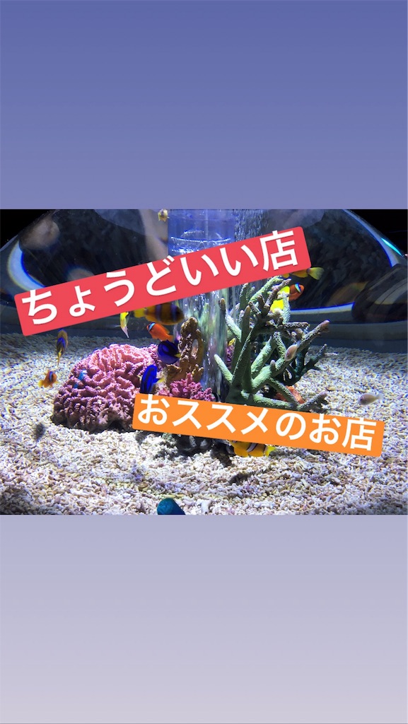 f:id:s_krkn:20180802143243j:image