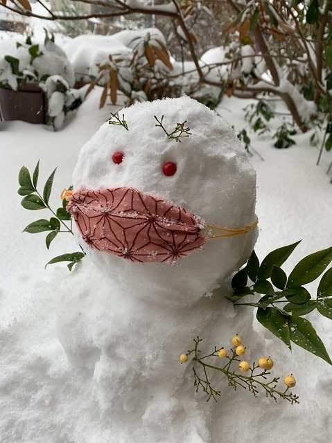 f:id:s_life_ehime:20210111132541j:plain