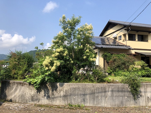 f:id:s_life_ehime:20210806144614j:plain