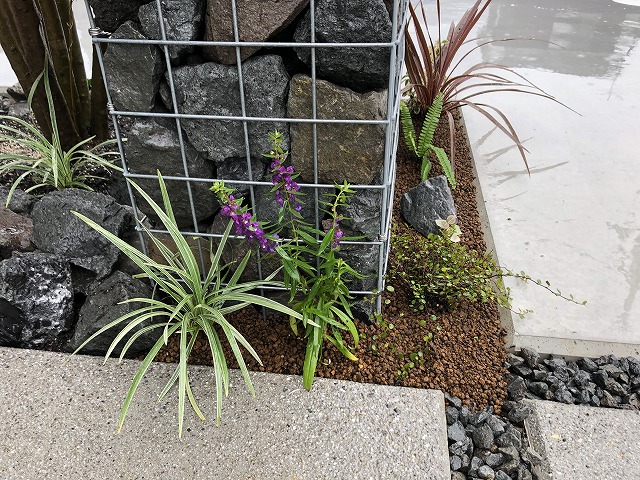 f:id:s_life_ehime:20210820171204j:plain