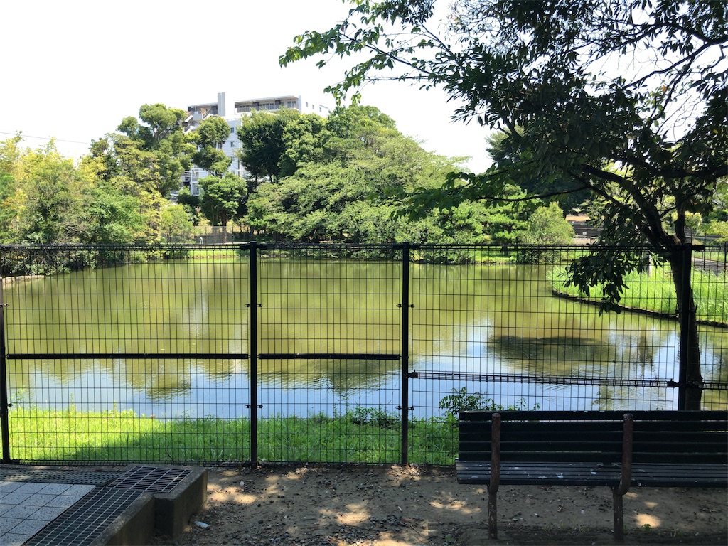 f:id:s_locarno:20190810184012j:image