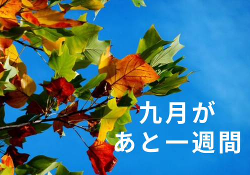 f:id:s_locarno:20190923190656p:plain f:id:s_locarno:20190923190656p:plain