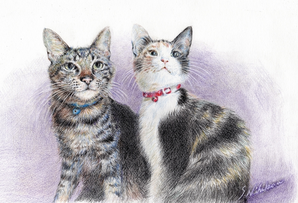 f:id:s_nissy:20181003220439j:plain